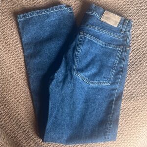 Everlane The Way High Jean
